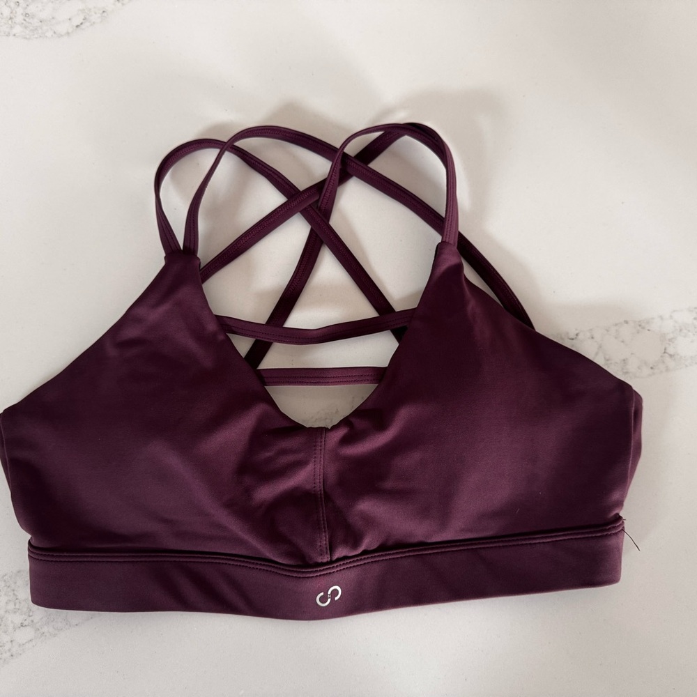 Elegant Strappy Plum Sports Bra